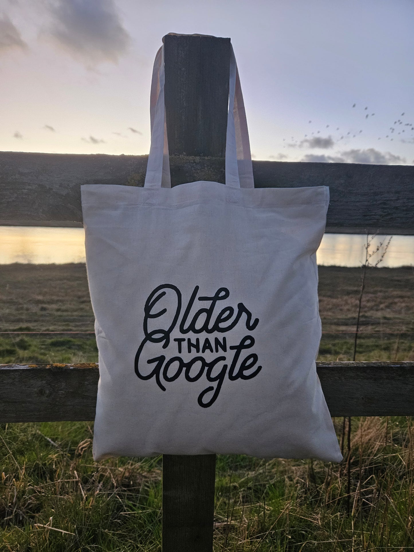 Older than Google - Tote Bag